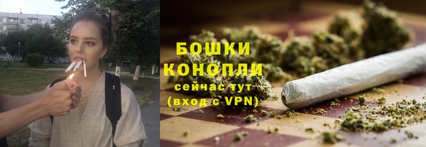 гидра Братск