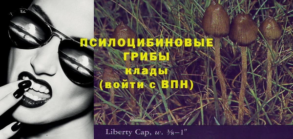 гидра Братск