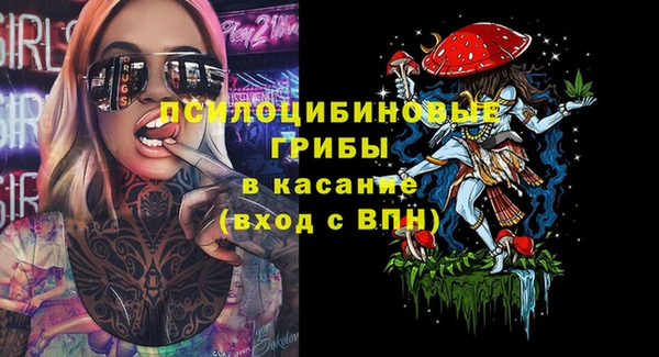 гидра Братск
