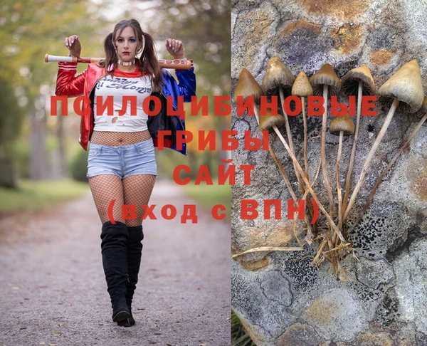 дмт Кострома