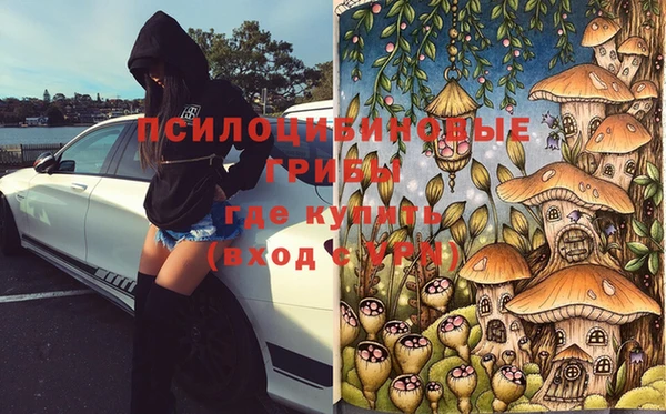 стаф Орск