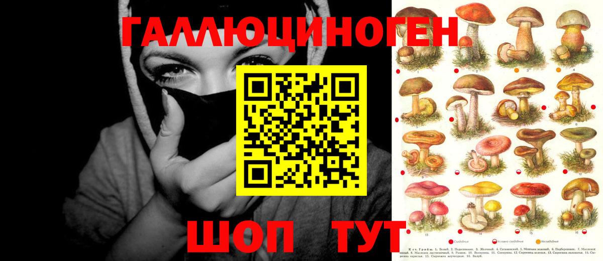 Балахна  закладка  Вход с VPN  Псилоцибиновые грибы мухоморы 