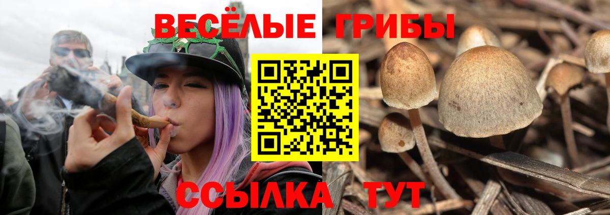 Галлюциногенные грибы мицелий Балахна